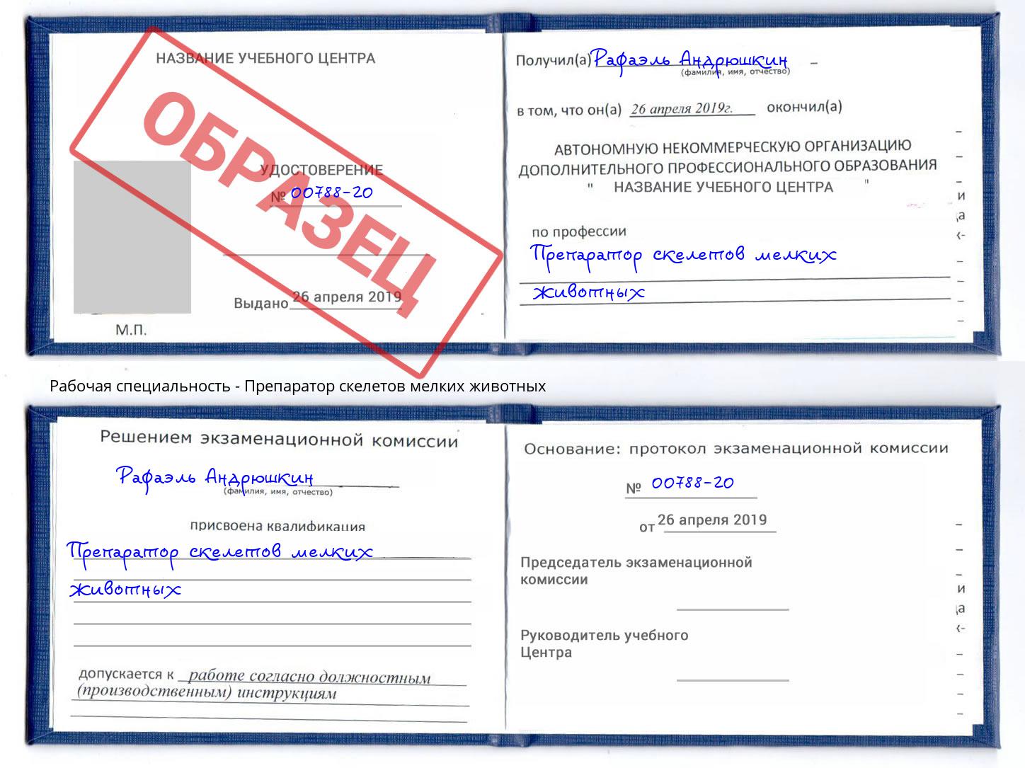 Препаратор скелетов мелких животных Дальнегорск