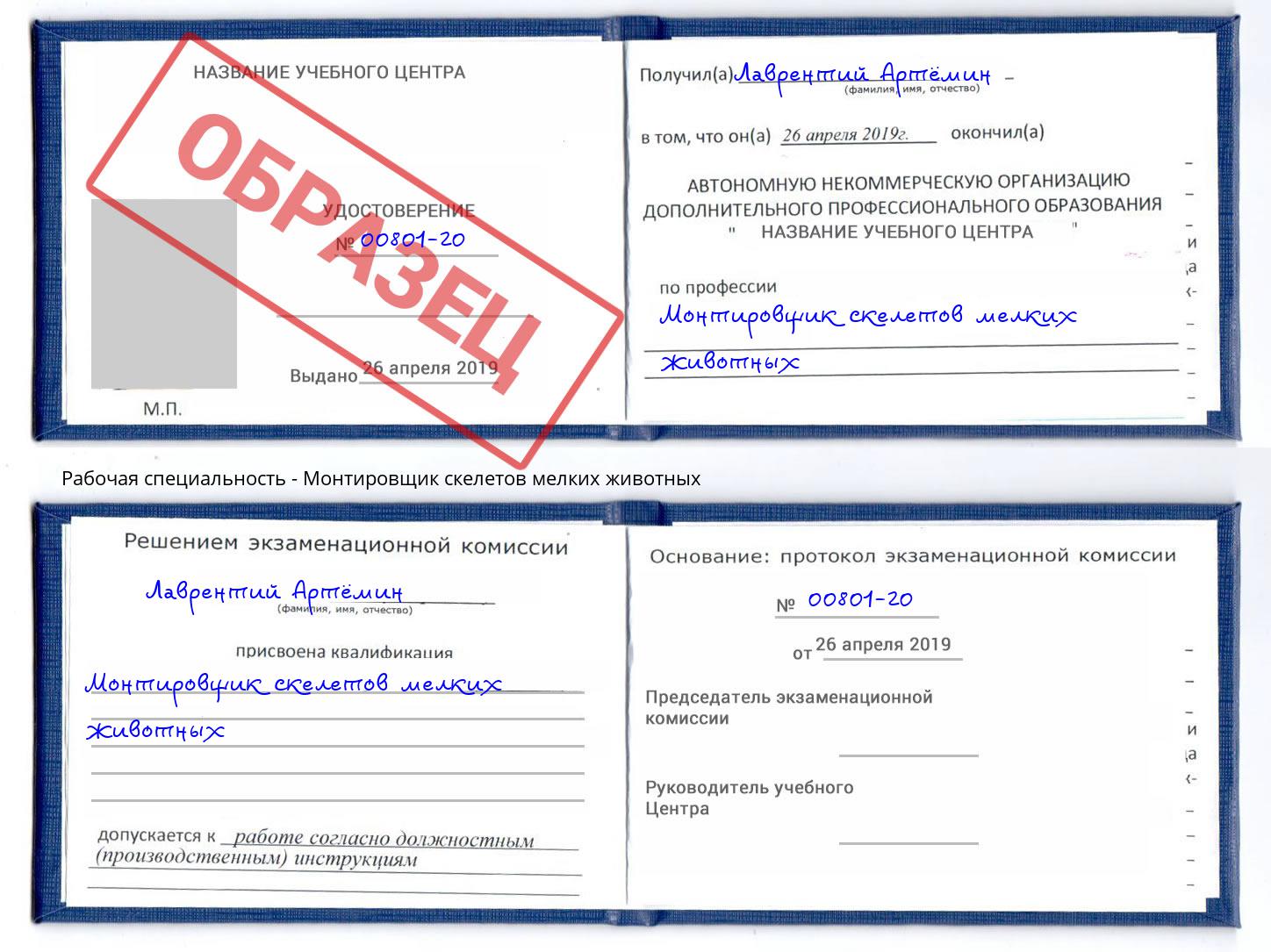 Монтировщик скелетов мелких животных Дальнегорск