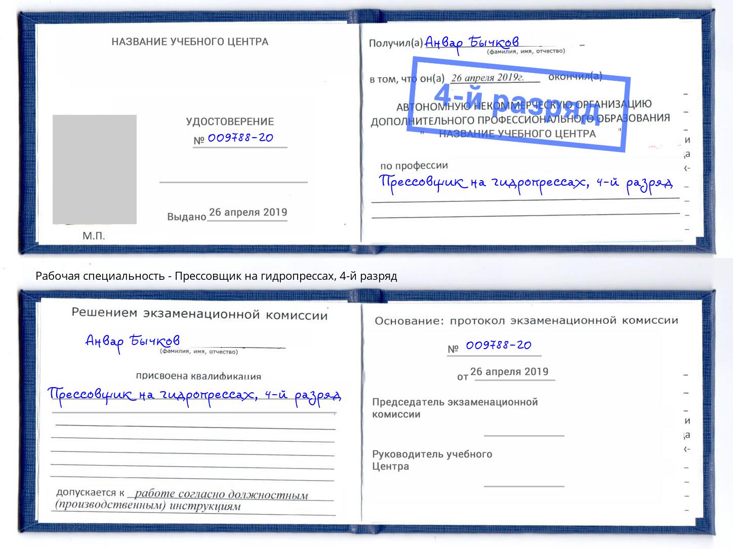 корочка 4-й разряд Прессовщик на гидропрессах Дальнегорск