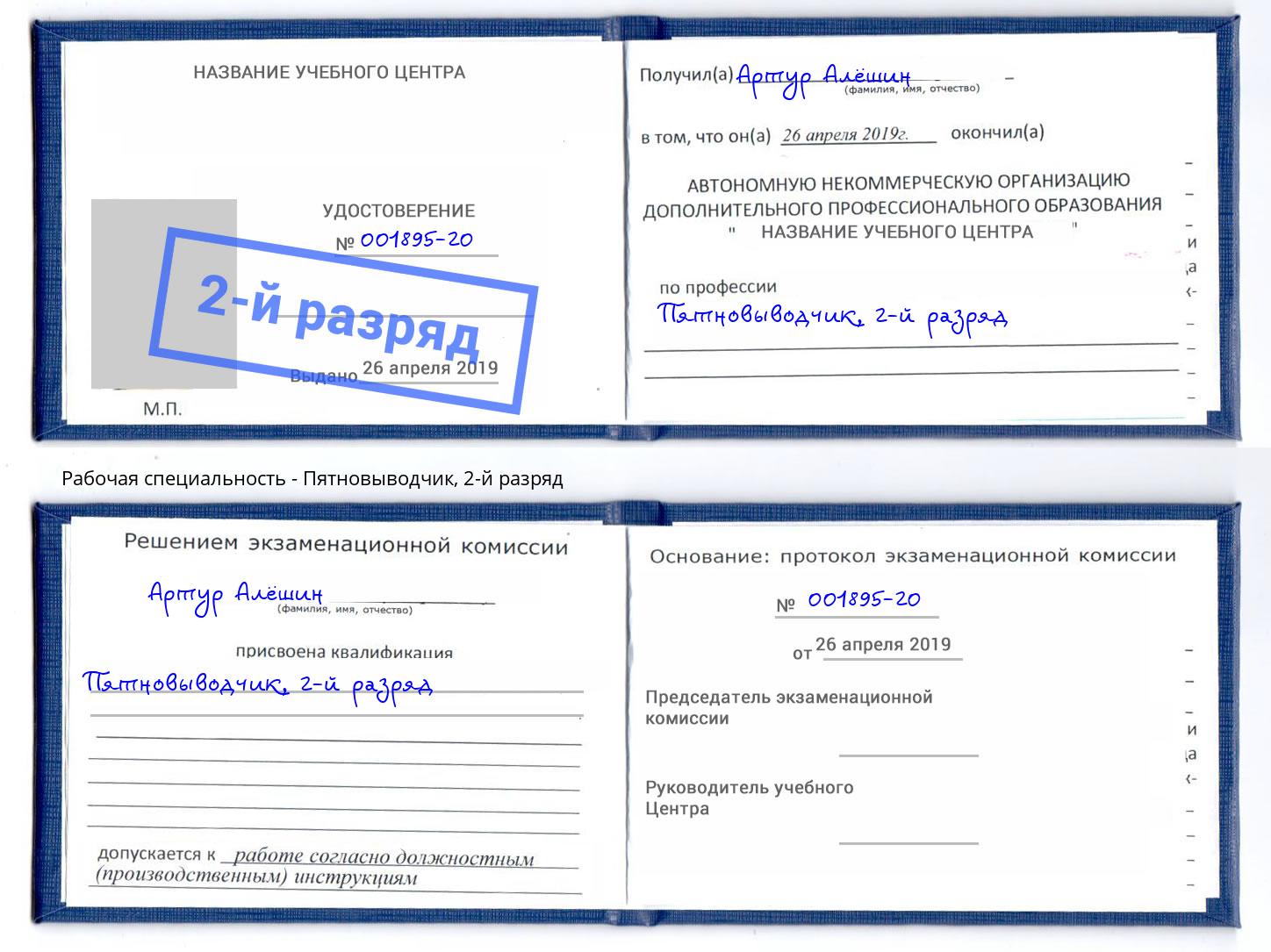 корочка 2-й разряд Пятновыводчик Дальнегорск