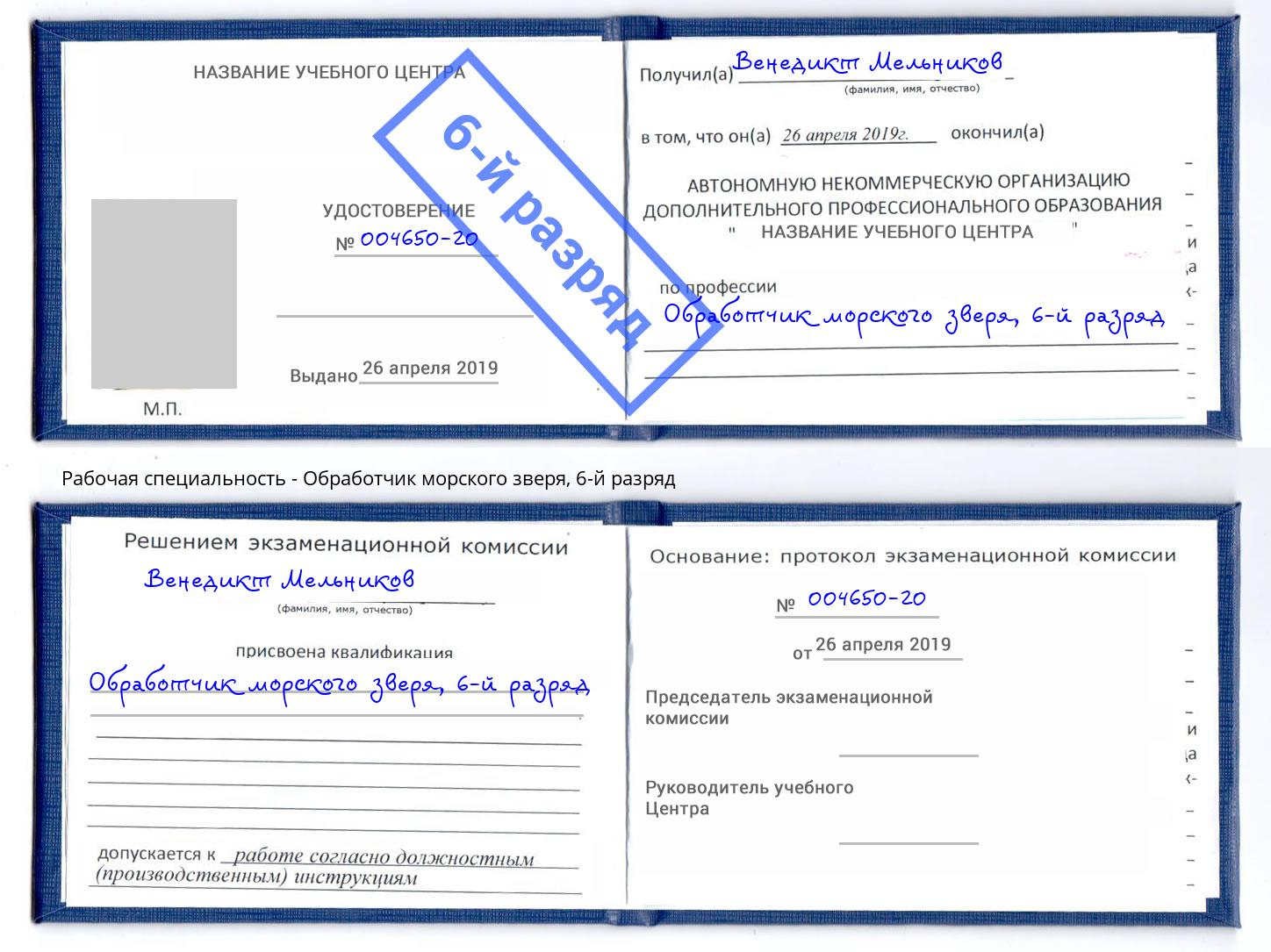 корочка 6-й разряд Обработчик морского зверя Дальнегорск