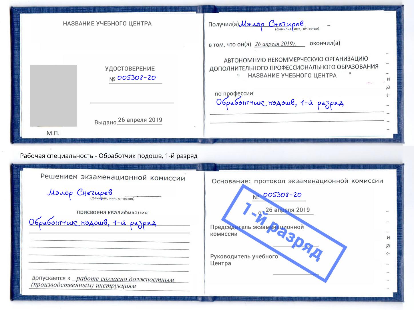 корочка 1-й разряд Обработчик подошв Дальнегорск