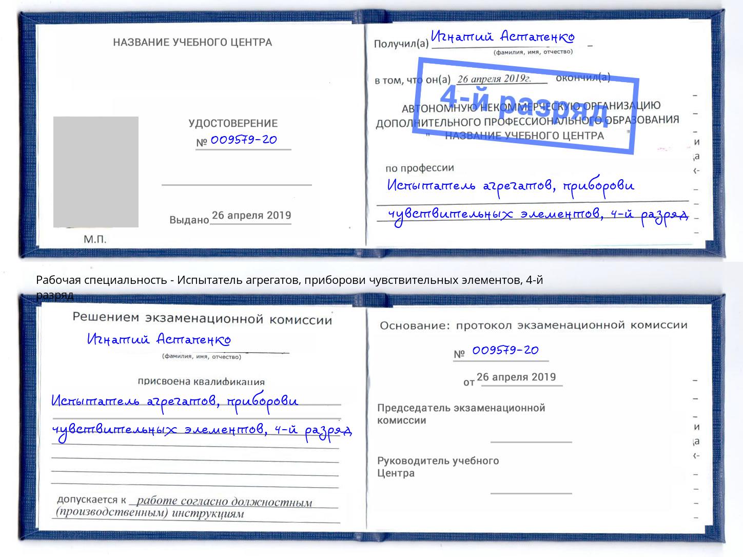 корочка 4-й разряд Испытатель агрегатов, приборови чувствительных элементов Дальнегорск
