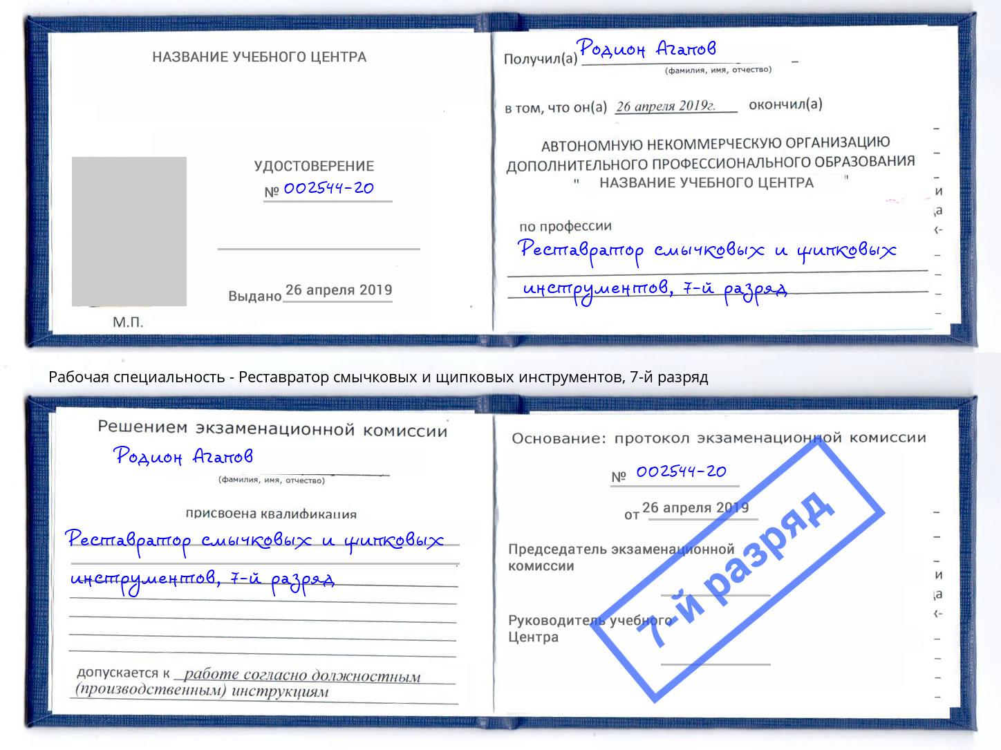 корочка 7-й разряд Реставратор смычковых и щипковых инструментов Дальнегорск