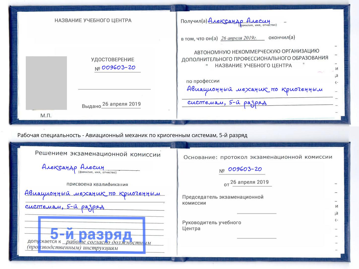 корочка 5-й разряд Авиационный механик по криогенным системам Дальнегорск