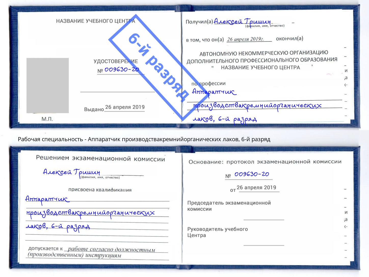 корочка 6-й разряд Аппаратчик производствакремнийорганических лаков Дальнегорск