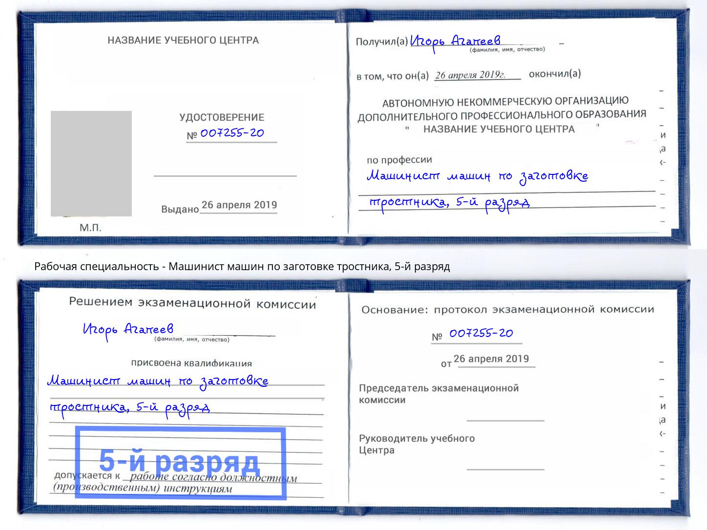 корочка 5-й разряд Машинист машин по заготовке тростника Дальнегорск