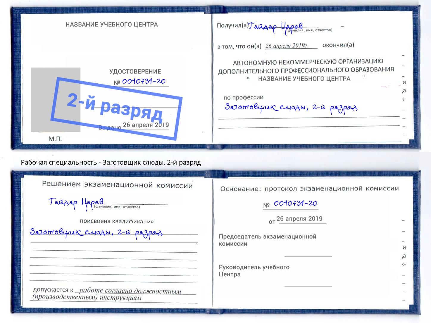 корочка 2-й разряд Заготовщик слюды Дальнегорск