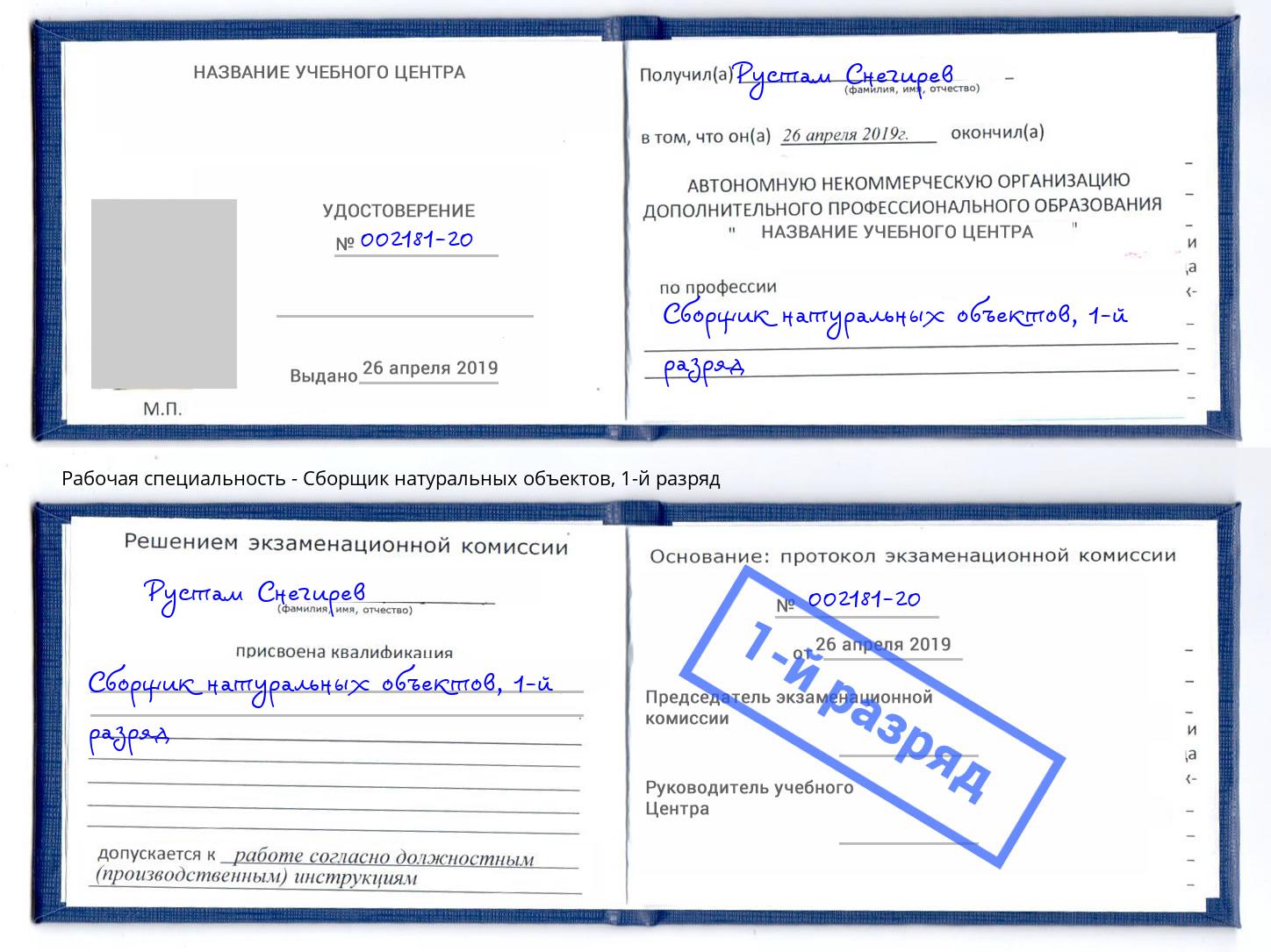 корочка 1-й разряд Сборщик натуральных объектов Дальнегорск