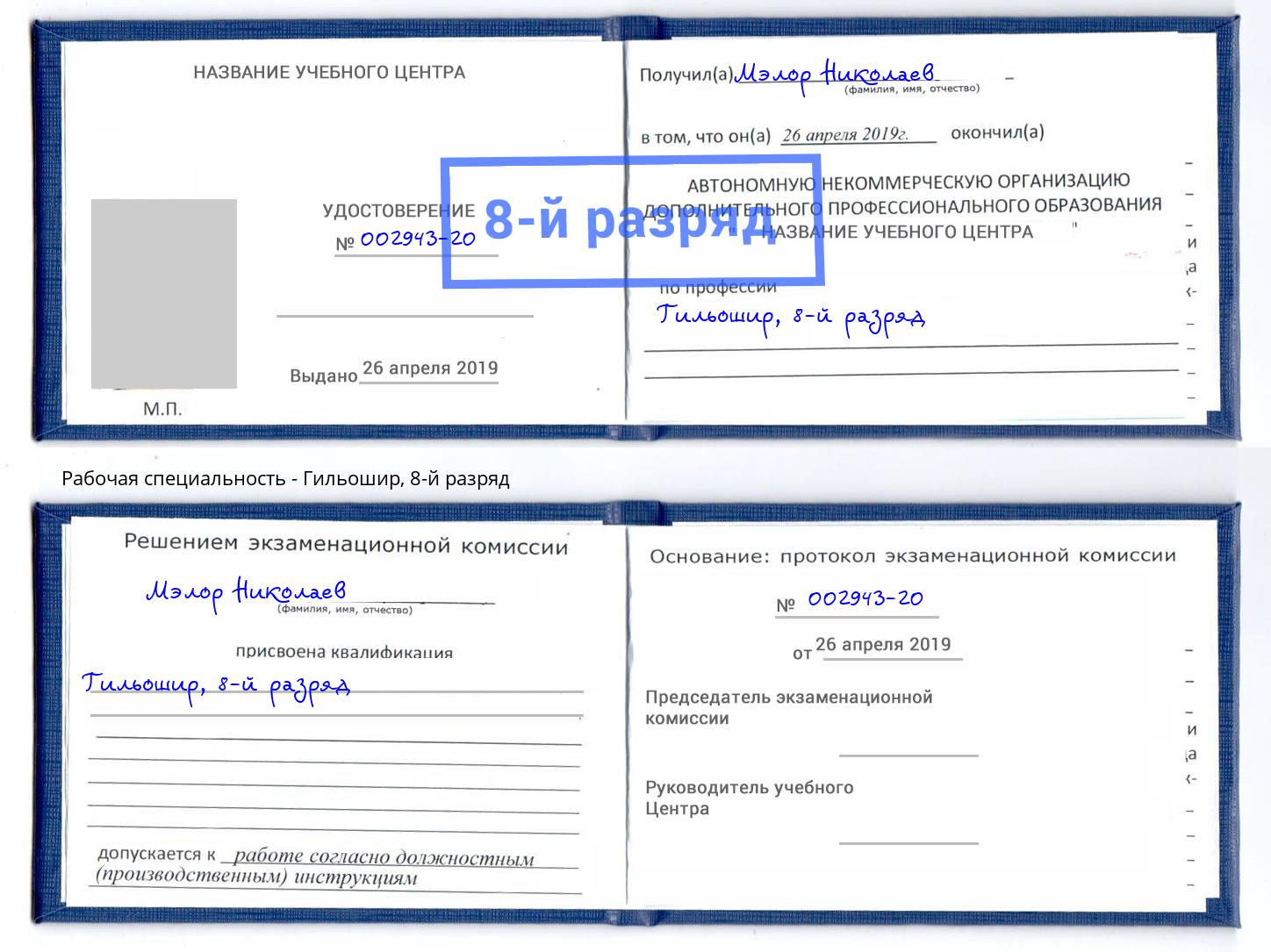корочка 8-й разряд Гильошир Дальнегорск