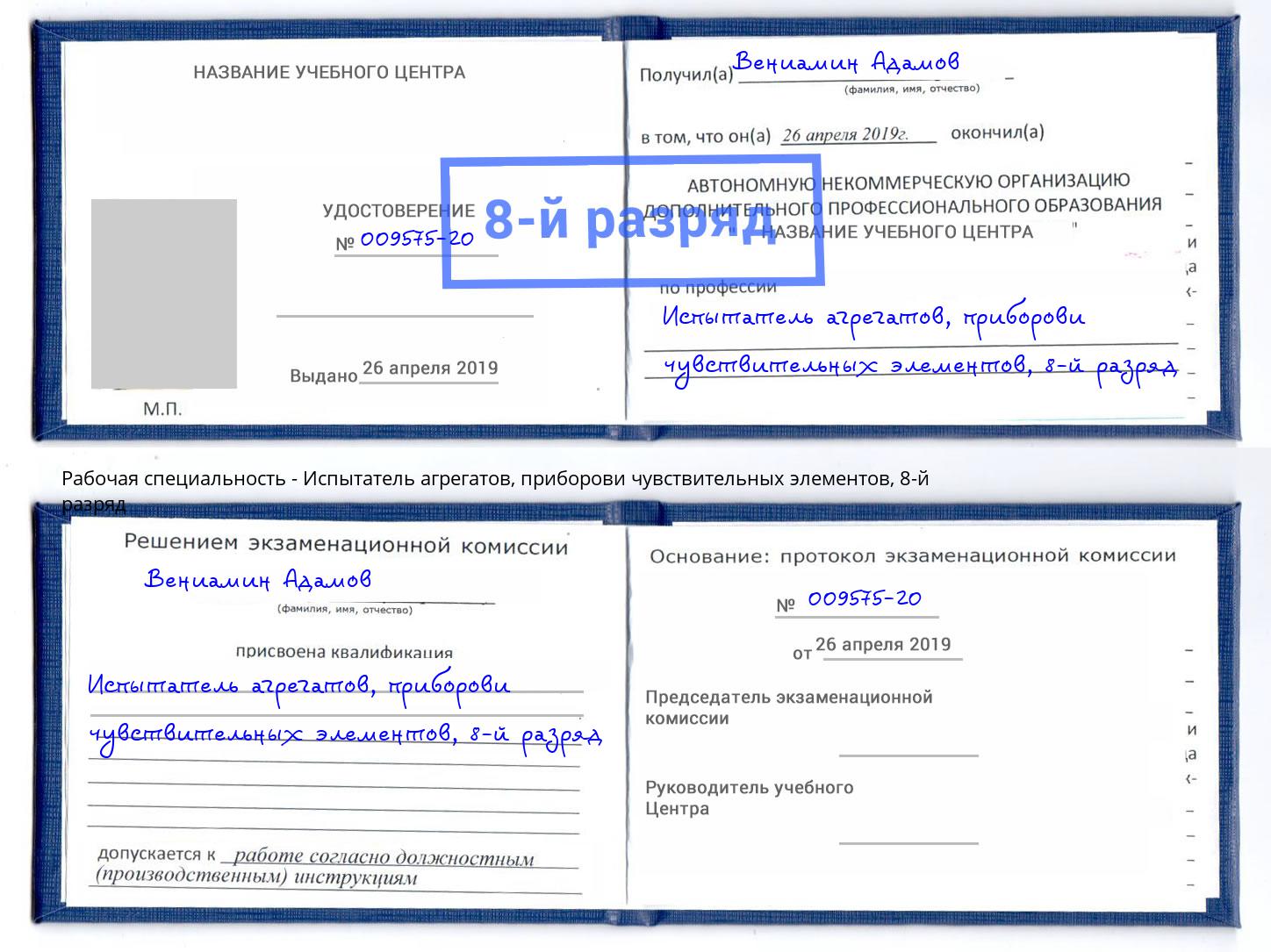 корочка 8-й разряд Испытатель агрегатов, приборови чувствительных элементов Дальнегорск